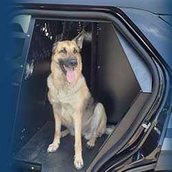 K9 & Prisoner Transport