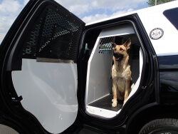 K9 Transport