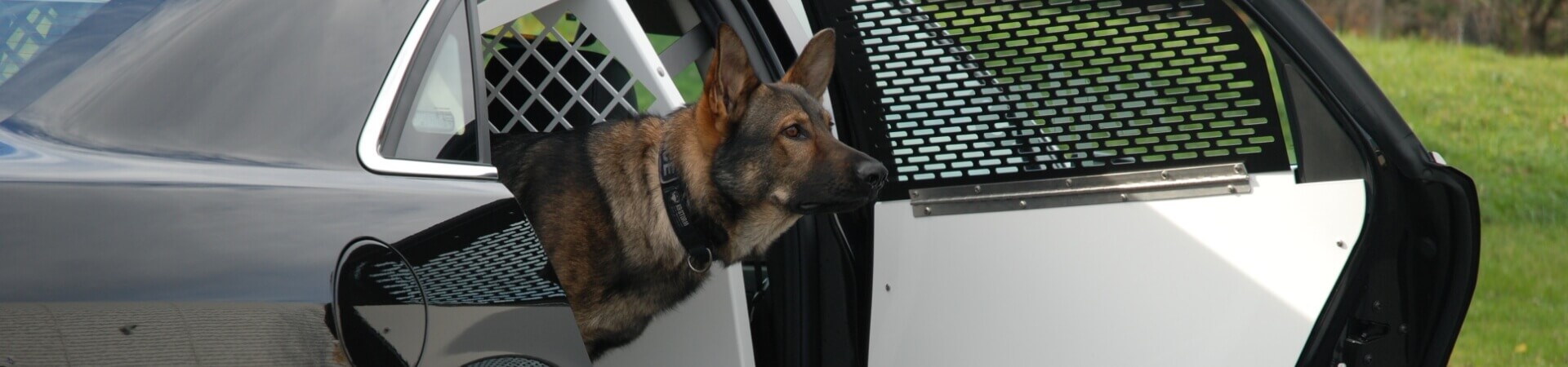 K9 Transports