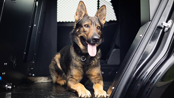 K9 Transport Configurator